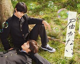 日本一级操逼视频海报剧照